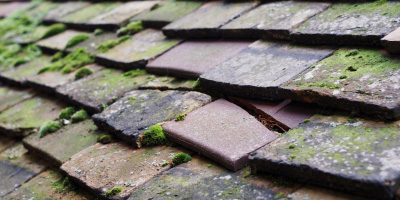 Kenn roof repair costs